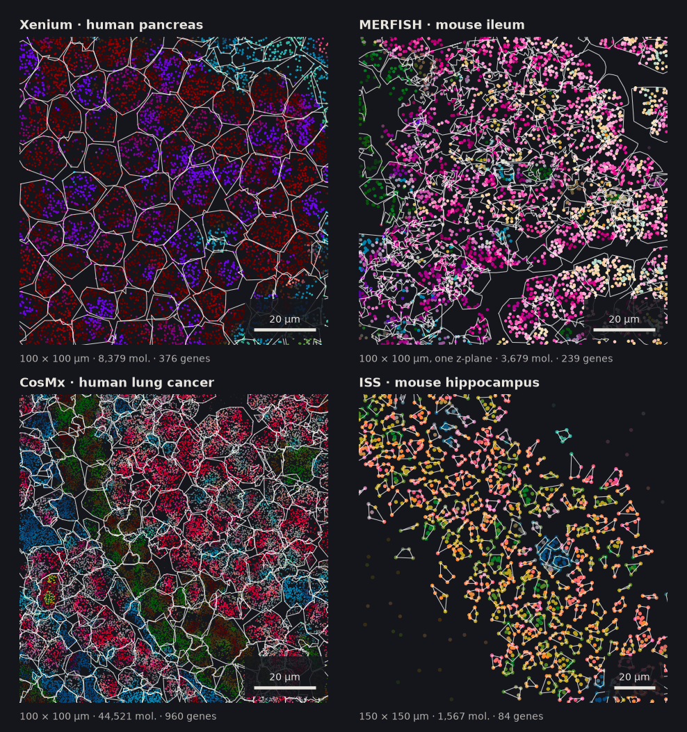 Four 100 µm crops of cpp-0.9.0 segmentations: Xenium, MERFISH, CosMx and ISS