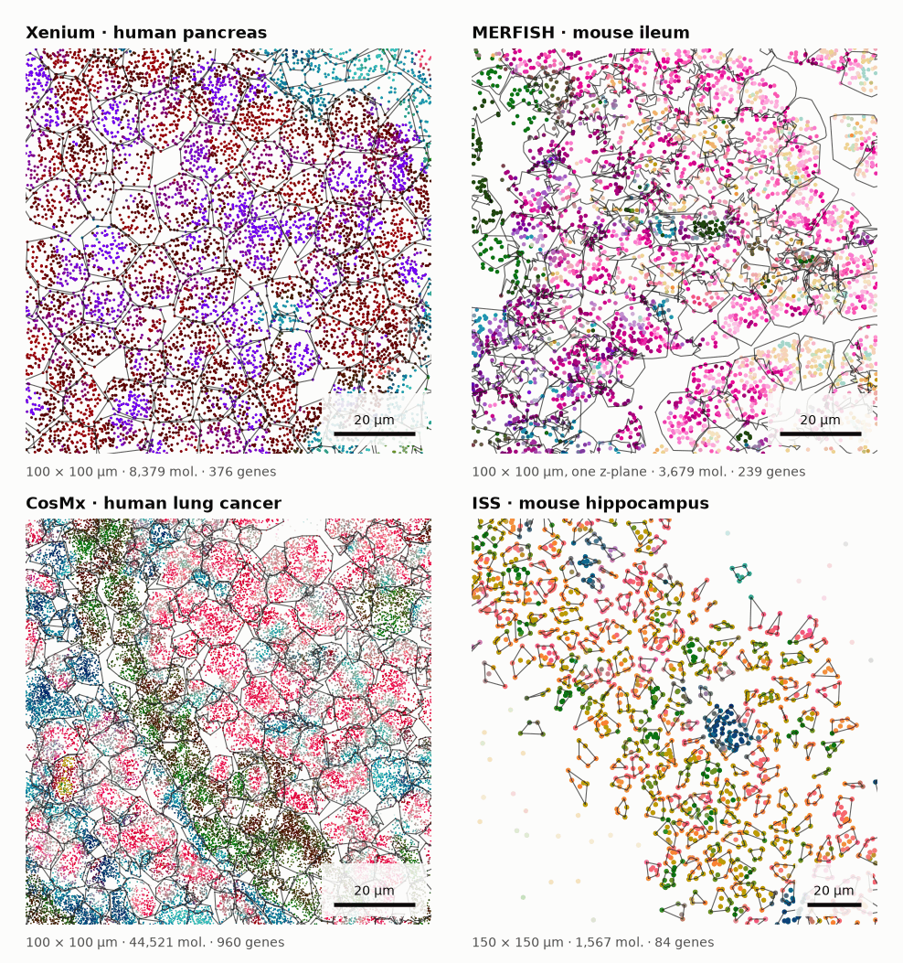 Four 100 µm crops of cpp-0.9.0 segmentations: Xenium, MERFISH, CosMx and ISS