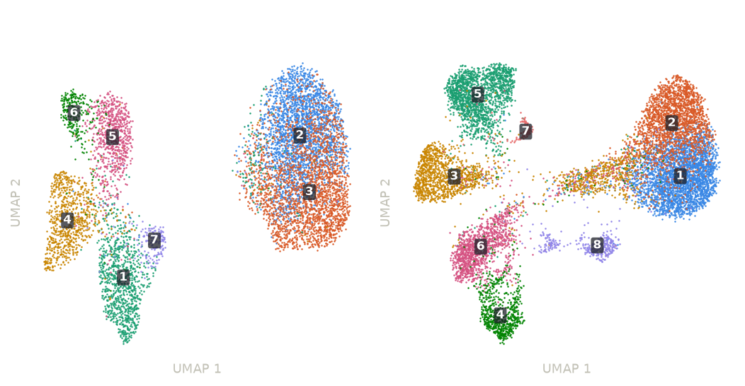 UMAP of cells from two Xenium datasets, coloured by cell type
